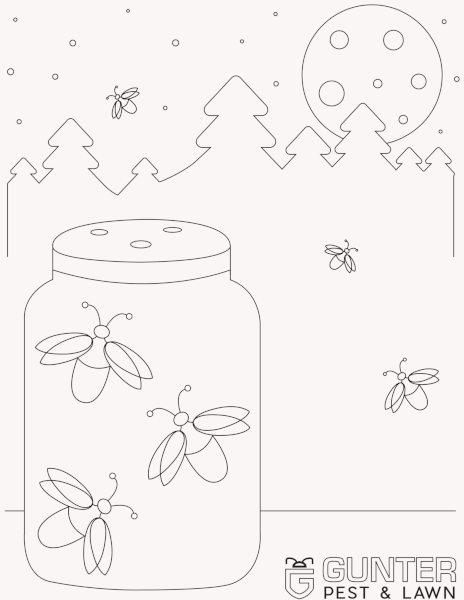 lightning bug coloring page