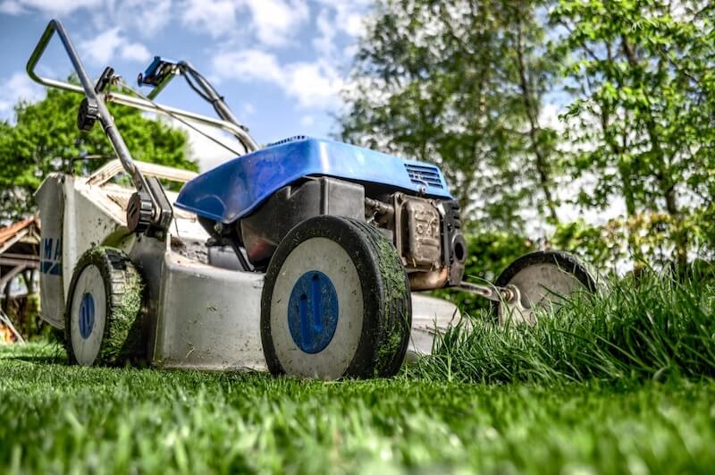 lawn care for new homeowners