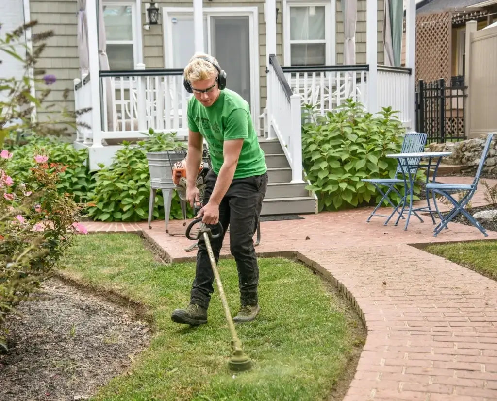 a man trimming a lawn to get rid of moss